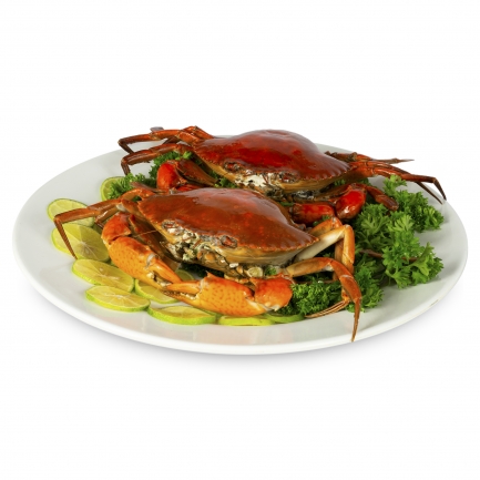 Chụp Ảnh Sản Phẩm (Product Photography)