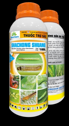 Thiết kế bao b&igrave; sản phẩm