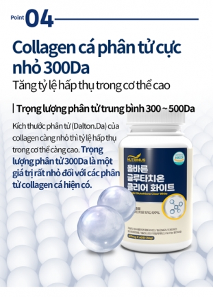 Dịch sản phẩm nhanh trong 3 tiếng (H&Agrave;N - VIỆT)
