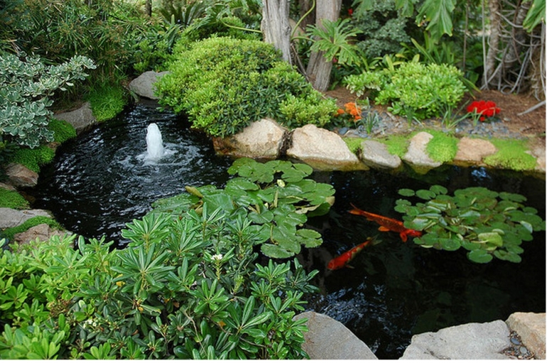 Thiết kế hồ c&aacute; KOI