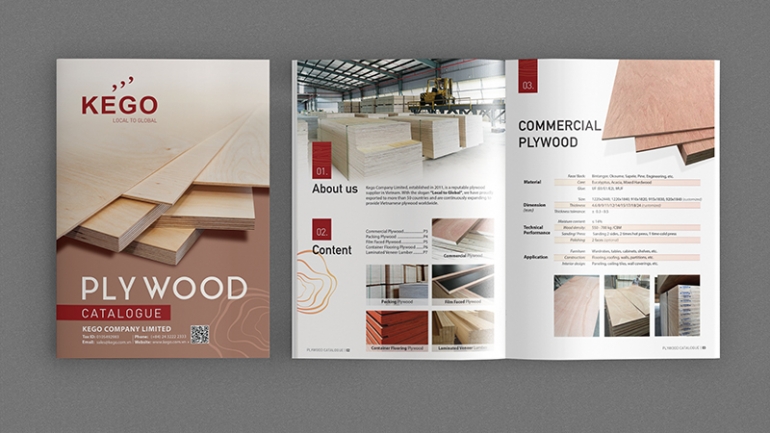 Thiết kế Catalogue Sản phẩm / Dịch vụ Doanh nghiệp