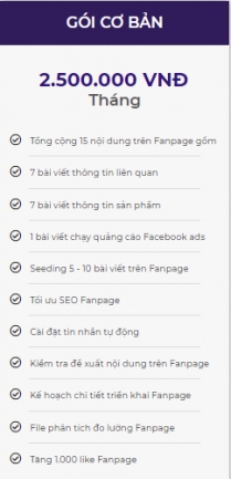 Dịch vụ chăm s&oacute;c Fanpage