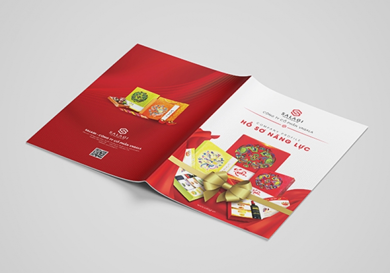 HỒ SƠ NĂNG LỰC CHUẨN ĐẤU THẦU