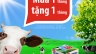 Thiết kế Print Ad