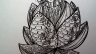 LINE ART