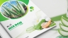 Thiết kế profile c&ocirc;ng ty cổ phần GVA
