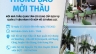 Thiết kế Poster - Th&ocirc;ng b&aacute;o mời thầu (1)