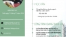 Curriculum Vitae