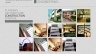 Website P.A.C.E Architecture