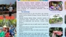 POSM TRAVEL VIỆT NHẬT