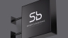 Logo Brand Guidelines | SB Skinetics Bioscience