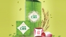 bộ bao b&igrave;-brochure- poster b&aacute;nh cốm