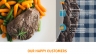 Food Order website