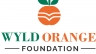 Thiết kế logo