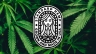 Standard Hemp Logo