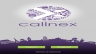 Callnex app