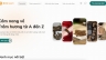 UI Design & WordPress Development