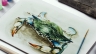 Watercolor Drawing and Design