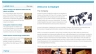 Website 2