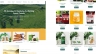 Thiết kế website DTK Vietnam