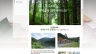 Website du lịch (Travel website)