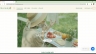 Thiết kế website b&aacute;n quần &aacute;o