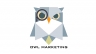 Logo Agency OWL MARKETING
