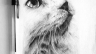 Hand Draw