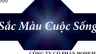 Thiết Kế Logo