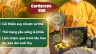 Thiết kế Ladingpage sản phẩm c&ocirc;ng ty