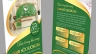Thiết kế Brochure