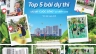 KV social VIN cuộc thi ảnh