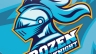 Gaming Logo Frozen Knight