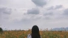 viết l&aacute;ch - dịch thuật SỐ1