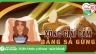 C&oacute; n&ecirc;n x&ocirc;ng giải cảm bằng sả gừng kh&ocirc;ng?