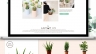 Website Botany