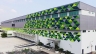 Zuellig Pharma Tan Tao Store