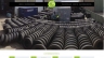 X&acirc;y dựng website nbrtyres