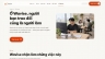 Wavise &mdash; Website thiết kế & lập tr&igrave;nh hệ thống (tự thiết kế v&agrave; ph&aacute;t triển)