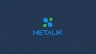 Logo Thương mại điện tử Netalik