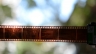 Phỏng vấn " film is not dead "