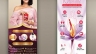 Thiết kế standee Zafranar