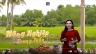 Hậu kỳ chương tr&igrave;nh truyền h&igrave;nh N&ocirc;ng nghiệp trong tuần
