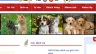 Website ph&ograve;ng kh&aacute;m