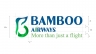 BAMBOO AIRWAYS REDESIGN LOGO