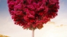 LoveTree