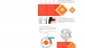 Thiết kế brochure