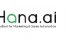 Site hana.ai