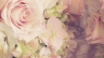 Wedding Saving