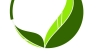 thiết kế logo